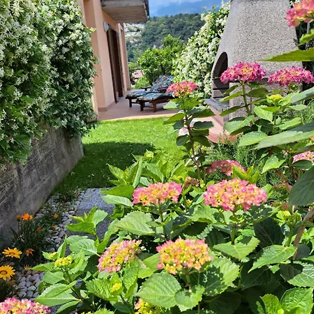 Madonnina Terrace E Garden Apartamento *
